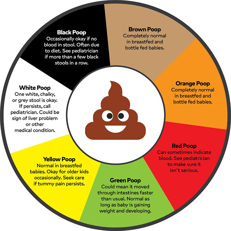 What Your Poop Turns Green