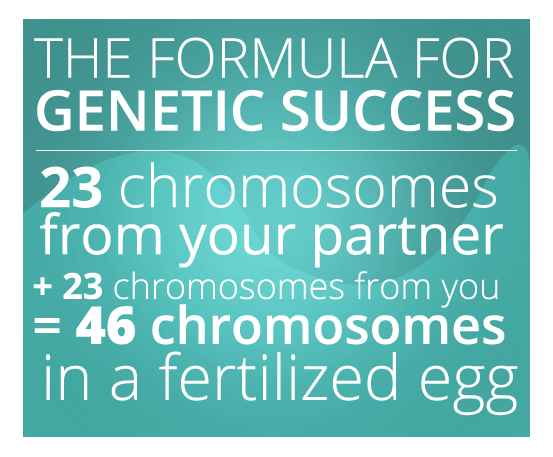 The formula for genetic success: 23 chromosomes from your partner + 23 chromosomes from you = 46 chromosomes in a fertilized egg.